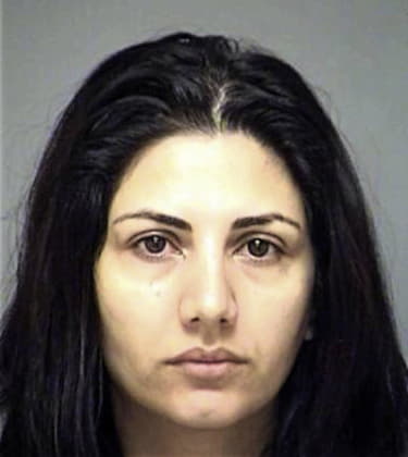 Farkhondeh Ghashghaeesadi, - Denton County, TX 