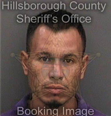 Lazaro Lago, - Hillsborough County, FL 