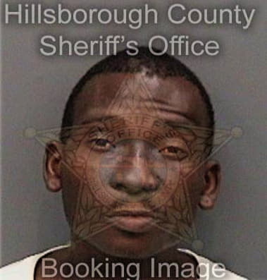 Vashon Lewis, - Hillsborough County, FL 