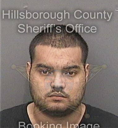 Abel Martinezramon, - Hillsborough County, FL 