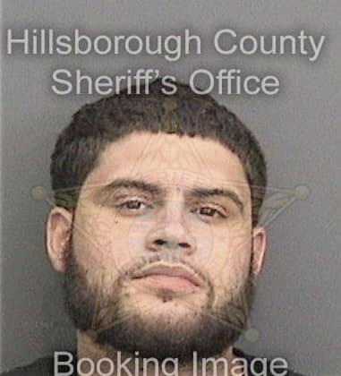 Yadiel Moralesandujar, - Hillsborough County, FL 