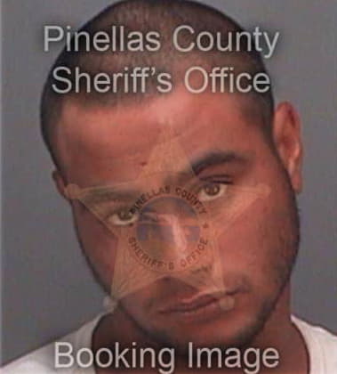 John Ogradney, - Pinellas County, FL 