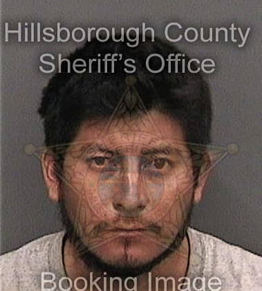 Jeremiah Palladino, - Hillsborough County, FL 