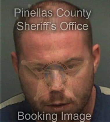 Michael Ryan, - Pinellas County, FL 