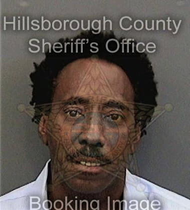 Stevel Vincent, - Hillsborough County, FL 