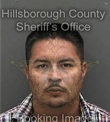 Miguel Ayarza, - Hillsborough County, FL 