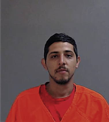 Ricardo Chapa, - Hidalgo County, TX 