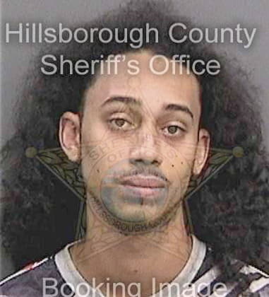 Anthony Gibson, - Hillsborough County, FL 