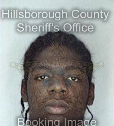 Devon Henry - Hillsborough County, FL 