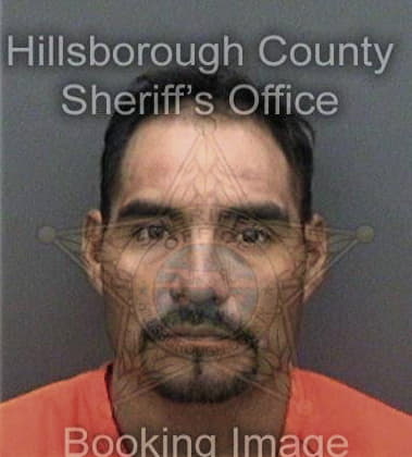 Luis Rodrigueztorres, - Hillsborough County, FL 