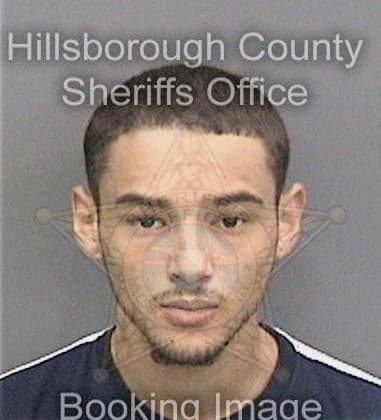 Gregory Stjuste, - Hillsborough County, FL 