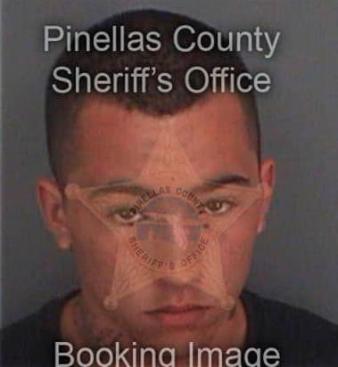 Jose Alemanvasquez, - Pinellas County, FL 