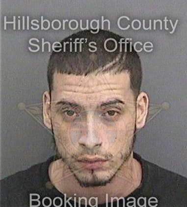 Harry Brady - Hillsborough County, FL 