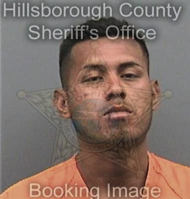 Bryan Dicecco, - Hillsborough County, FL 