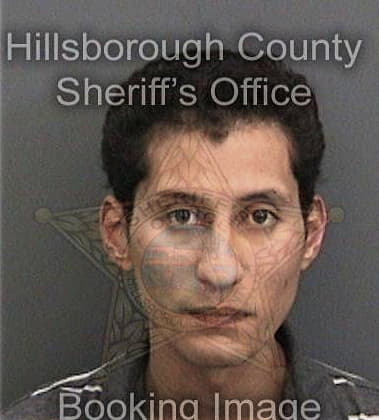 Timothy Guckeyson, - Hillsborough County, FL 