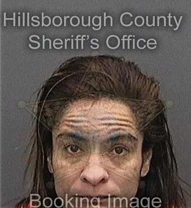 Anyel Hernandezquiros - Hillsborough County, FL 