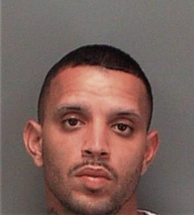 Hernan Hernandezromero, - Pinellas County, FL 