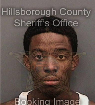 Jeff Lewis, - Hillsborough County, FL 