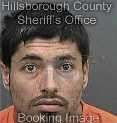 Jason Armillei, - Hillsborough County, FL 