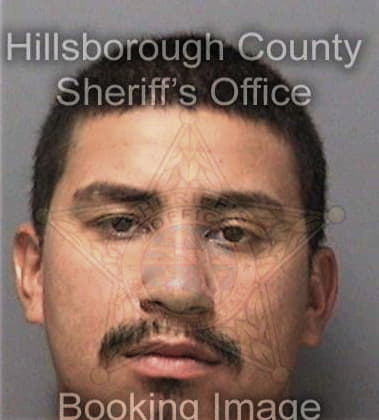 Nikolas Artale, - Hillsborough County, FL 