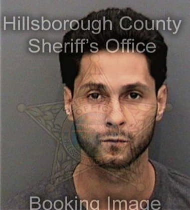 Ivan Demidov, - Hillsborough County, FL 