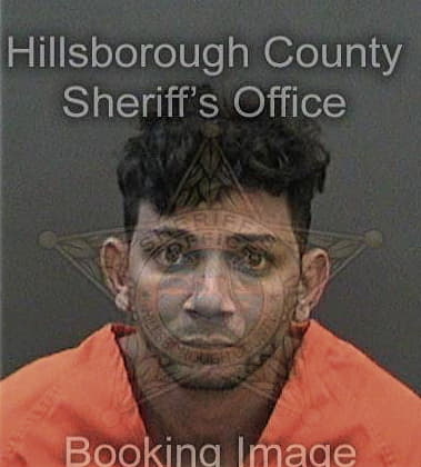 Louis Friol, - Hillsborough County, FL 