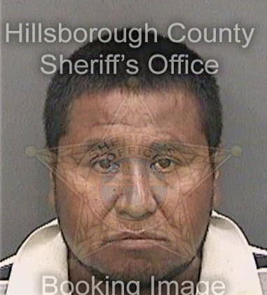 Anthony Mele - Hillsborough County, FL 
