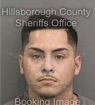 Alex Abreu, - Hillsborough County, FL 