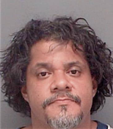 Hussain Alsaad, - Pinellas County, FL 