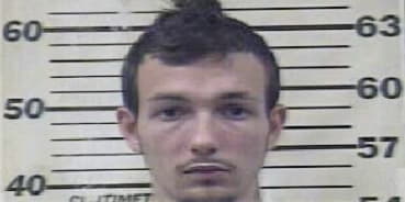 James Bridges, - Roane County, TN 