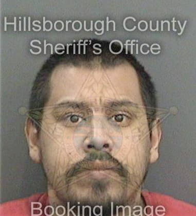 Geoffrey Bruwelheide, - Hillsborough County, FL 