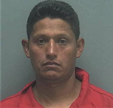 David Castellanos, - Lee County, FL 