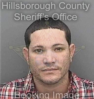 Robert Davis, - Hillsborough County, FL 