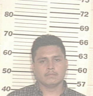 Jason DeLeon, - Hidalgo County, TX 