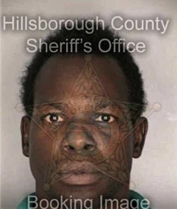 Henry Desue, - Hillsborough County, FL 