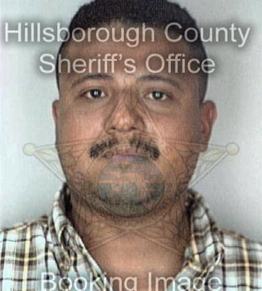 Larry Hines, - Hillsborough County, FL 