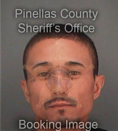 Manuel Penaranda, - Pinellas County, FL 