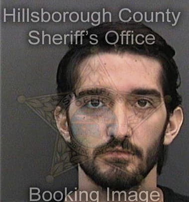 Mario Vega-Carballeda, - Hillsborough County, FL 