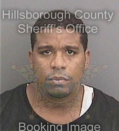 Raheem David, - Hillsborough County, FL 