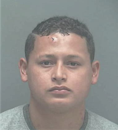 Raul Malagon-Silva, - Lee County, FL 