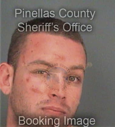 Emilio Minguela, - Pinellas County, FL 