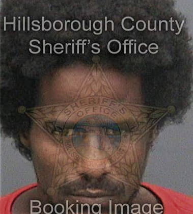 David Mitchell - Hillsborough County, FL 