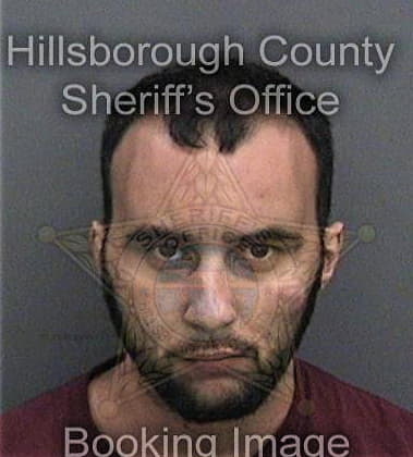 Antonio Reyes, - Hillsborough County, FL 