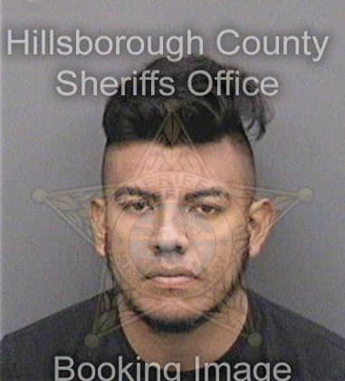 Cesar Fuentes, - Hillsborough County, FL 