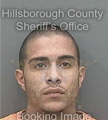 Alexander Mock, - Hillsborough County, FL 