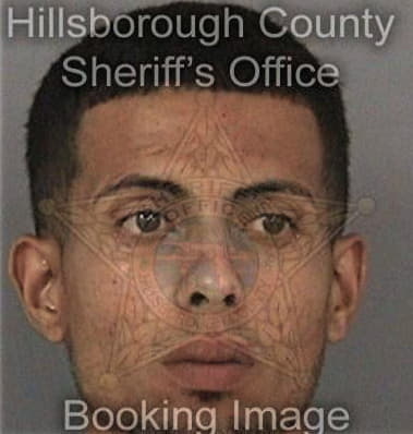 Ramiro Pesina, - Hillsborough County, FL 