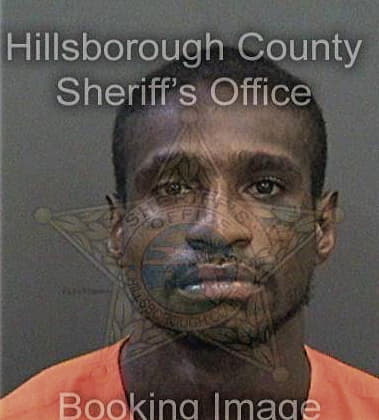 Nicholas Puryear, - Hillsborough County, FL 