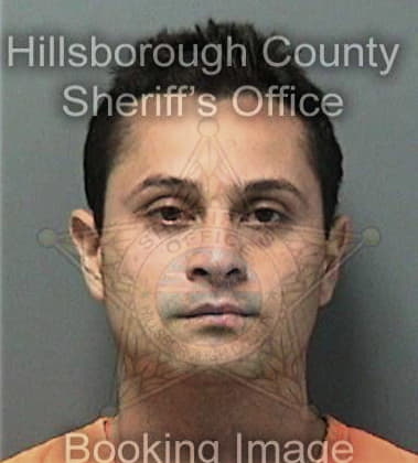 Rodney Wilhelm - Hillsborough County, FL 