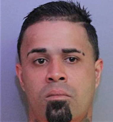 Carlos Burgos-Irizarry, - Polk County, FL 