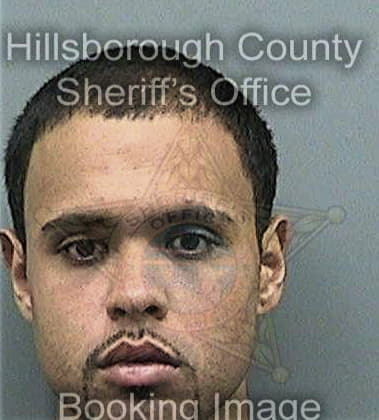 Alexander Enchautegu, - Hillsborough County, FL 